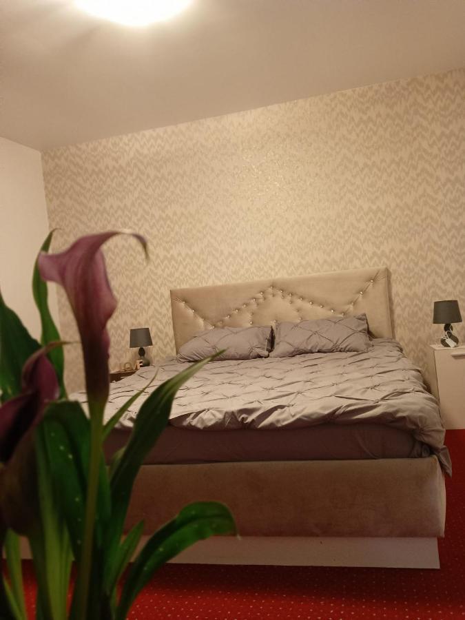 Karina House Apartamento Braşov Exterior foto