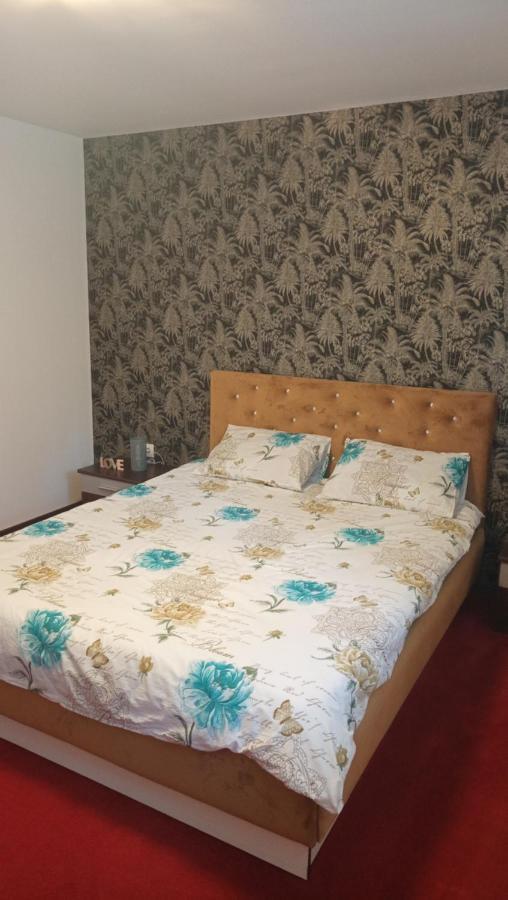 Karina House Apartamento Braşov Exterior foto